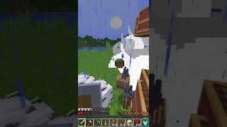 Minecraft moment 