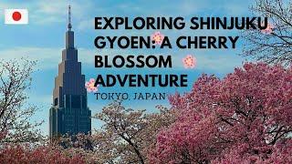 Exploring Shinjuku Gyoen A Cherry Blossom Adventure in #Shinjuku #Tokyo  2024 #sakura #japan