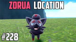 How to Catch Zorua - Pokémon Scarlet & Violet