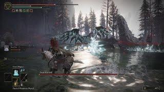 Elden Ring Shadow of the Erdtree DLC - Death Rite Bird - Boss Fight & Location