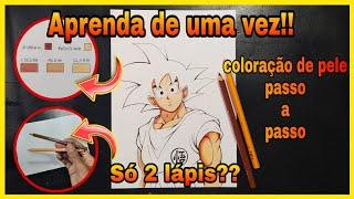 Como pintar pele de anime - usando apenas 2 cores - Aula de pele   tris mega soft color  12 cores