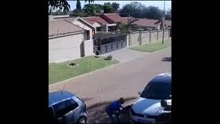 Thieves steal car headlights in 20 seconds in South Africa CCTV