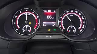 2018 Skoda OCTAVIA RS 245 Acceleration 0-100 kmh 0-140 Speed TEST