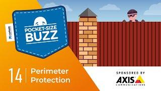 What is a perimeter protection system?