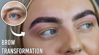 Full Indepth Brow Lamination Training for beginners Tutorial