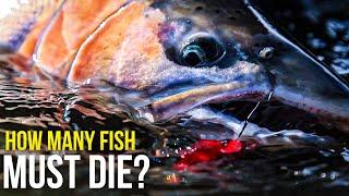 Catch & Release Mortality for Steelhead and Guiding