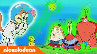 SpongeBob SquarePants  Kutukan  Nickelodeon Bahasa