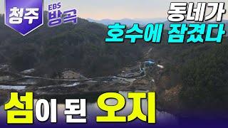 충북 청주 동네가 물에 잠겨 섬이 됐다 마을 사람 다 떠난 오지 섬에 사는 50년 된 노부부  청주 대청호  #한국기행 #방방곡곡