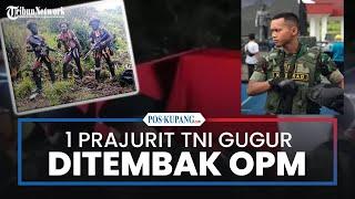 Prajurit Yonif 411 Pandawa Kostrad Gugur Ditembak OPM di Papua Tengah