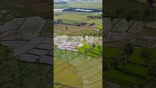 Natural field #dronevideography #islamic #dronevideo #nature #halalcontent #dronecapture #allah#hamd