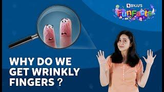 What Causes Wrinkly Fingers?  BYJUS Fun Facts