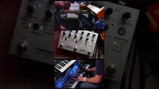 Ghost on Vocals is  #endorphines  #andrewhuang  #arturia #synthesizer