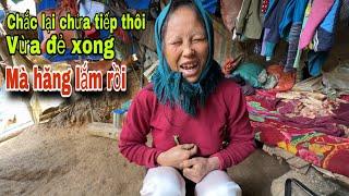 TÌNH HÌNH CỦA BÀ HAI CÓ KHI VÀI NGÀY NỮA LẠI CHỬA TIẾP THÔI  NHÌN HĂNG LẮM RỒI