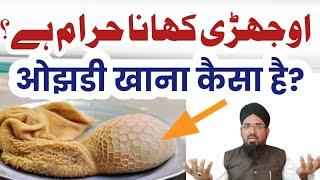 ओझडी खाने वाले कान खोल कर इस वीडियो को जरूर सुन लें  Ojhari Khana Haram Hai Ya Halal?