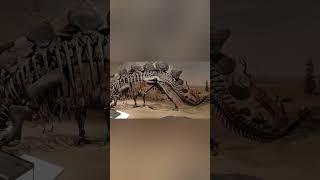 Mudman vs Stegosaurus #shortsvideo #drumheller #alberta #shorts