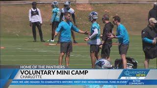 Panthers start voluntary mini camp prepare for NFL Draft
