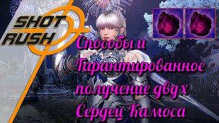 Black Desert  BD Способы и Гарантированное получение двух Сердец Камоса