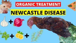 NEWCASTLE DISEASE ORGANIC TREATMENT REMEDIES SYMPTOMS NATURAL REMEDIES & PREVENTION OF NEWCASTLE