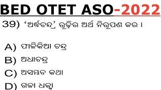 Odia Grammar For BEdOTETASO 2022 I