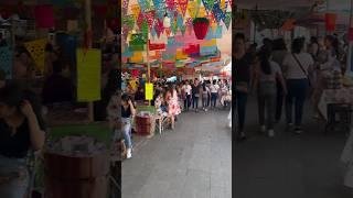 Dejense Caer al ultimo dia de la Famosa Feria de Las nieves Tejupilco Estado de México 