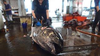 Slicing 900 Pounds Giant Tuna and Marlin for Exquisite Sashimi Feast 
