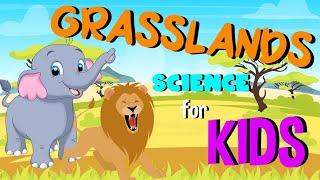 What are Grasslands  Science for Kids