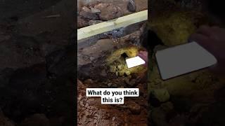 Digging up a mystery in 250 year old dirt floor