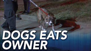 Family members find dogs eating owners body inside Philadelphia home