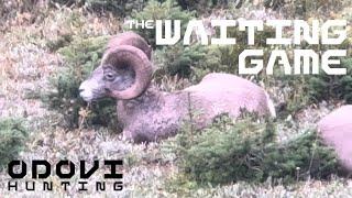 THE WAITING GAME  A DIY Rocky Mountain Bighorn Sheep Hunt