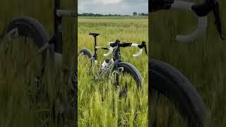 Alex Howes’ nature-inspired SuperSix EVO SE. #asmr #cannondale #supersixevose #nature #windy