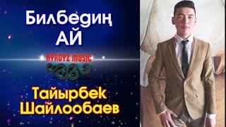 Тайырбек Шайлообаев - Билбедиң АЙ ⭐️ #Kyrgyz Music
