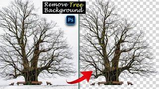  Remove Tree Background - Simple Trick - Photoshop Tutorial 2024 