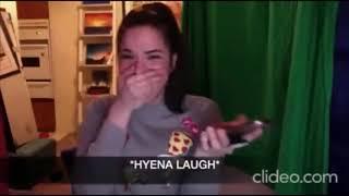 Hyena Laugh loop 10min