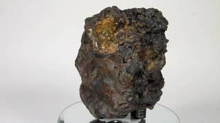 Meteorite MC079 pallasite