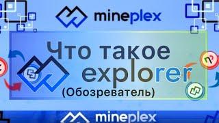 Что такое Explorer Mineplex  обозреватель