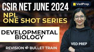Developmental Biology One Shot Series  CSIR NET JUNE 2024  Revision  VedPrep Biology Academy