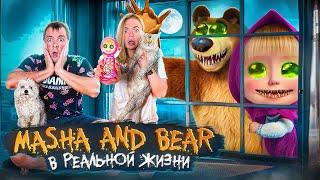 Masha and the Bear EXE В РЕАЛЬНОЙ ЖИЗНИ В НАШЕМ ДОМЕ С КОТОМ И СОБАКОЙ