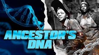 DNA Of 27 Enslaved American Ancestors Linked To Over 40000 Black People In United States