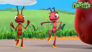 Hotshots   ANTIKS  Moonbug Kids - Funny Cartoons and Animation