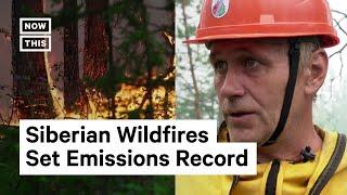 Siberian Wildfires in Russia Broke Record for CO2 Released #Shorts