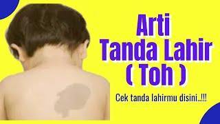 Arti tanda lahir dalam tubuh manusia