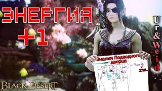 Все Знания Подводного Дворца в Black Desert