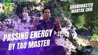 Passing energy and Microcosmic Orbit activation. Initiations by legendary Taoist Master Mantak Chia