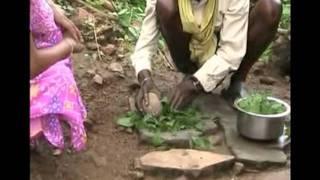 Preparation of Belastra organic medicines Odia PRAGATI Odisha