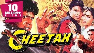 Cheetah 1994 Full Hindi Movie  Mithun Chakraborty Ashwini BhavePrem Chopra