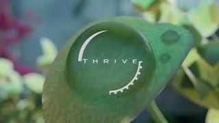 Thrive 0.6.2 Release Trailer