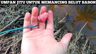 Mengejutkan.. Pertama Kali Mancing Belut Sawah Pakai Umpan Telur Keong Sawah Dan Begini Hasilnya