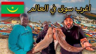 سوق السمك الأكثر جنونا في العالم  موريتانيا 