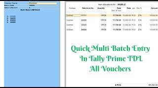 Quick Multi Batch Entry In Tally Prime TDL