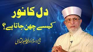 Dil ka Noor Kaise Chin jata hy?  Fahm e Deen  Shaykh-ul-Islam Dr Muhammad Tahir-ul-Qadri